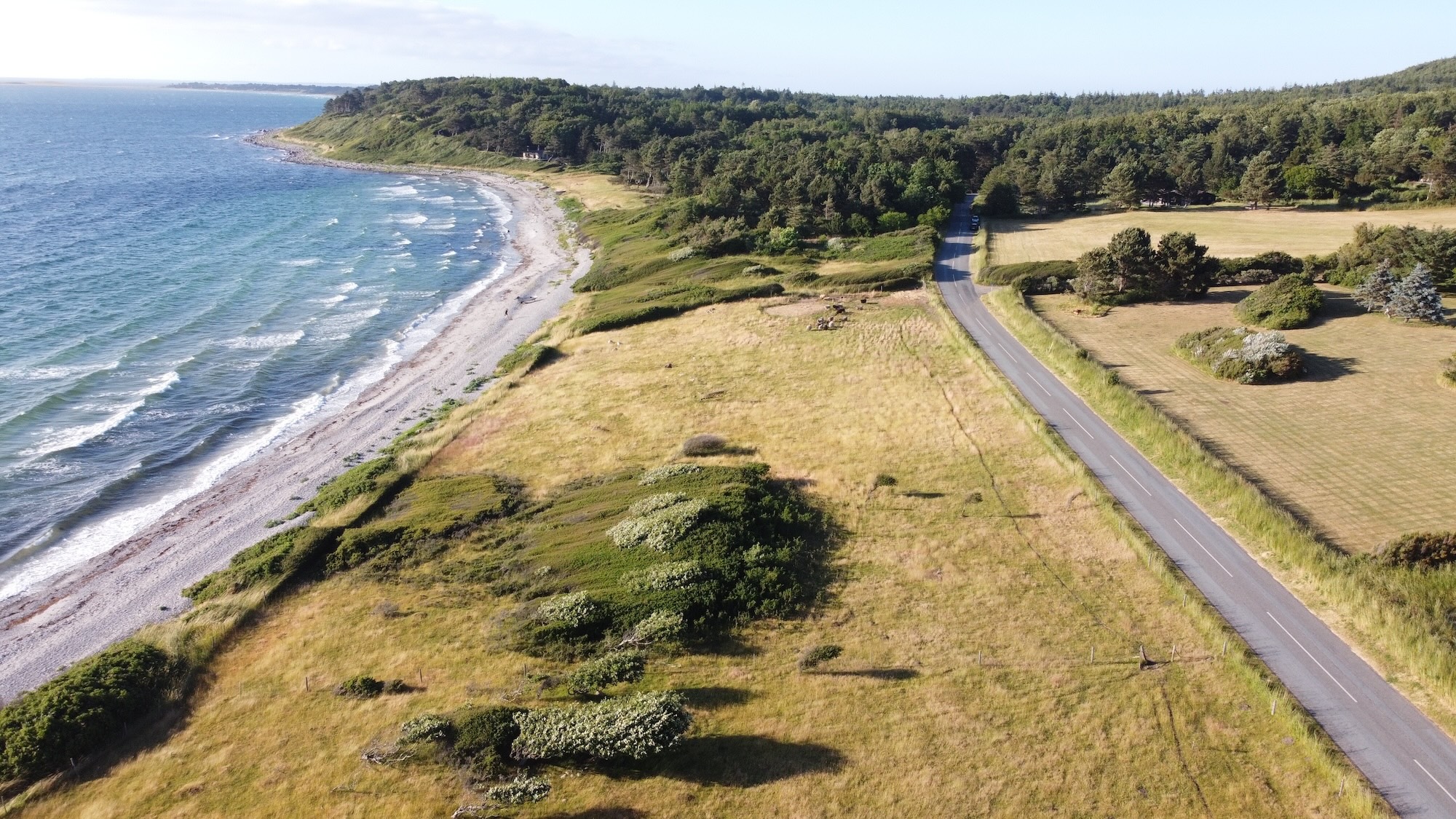 Coastal road Denmark