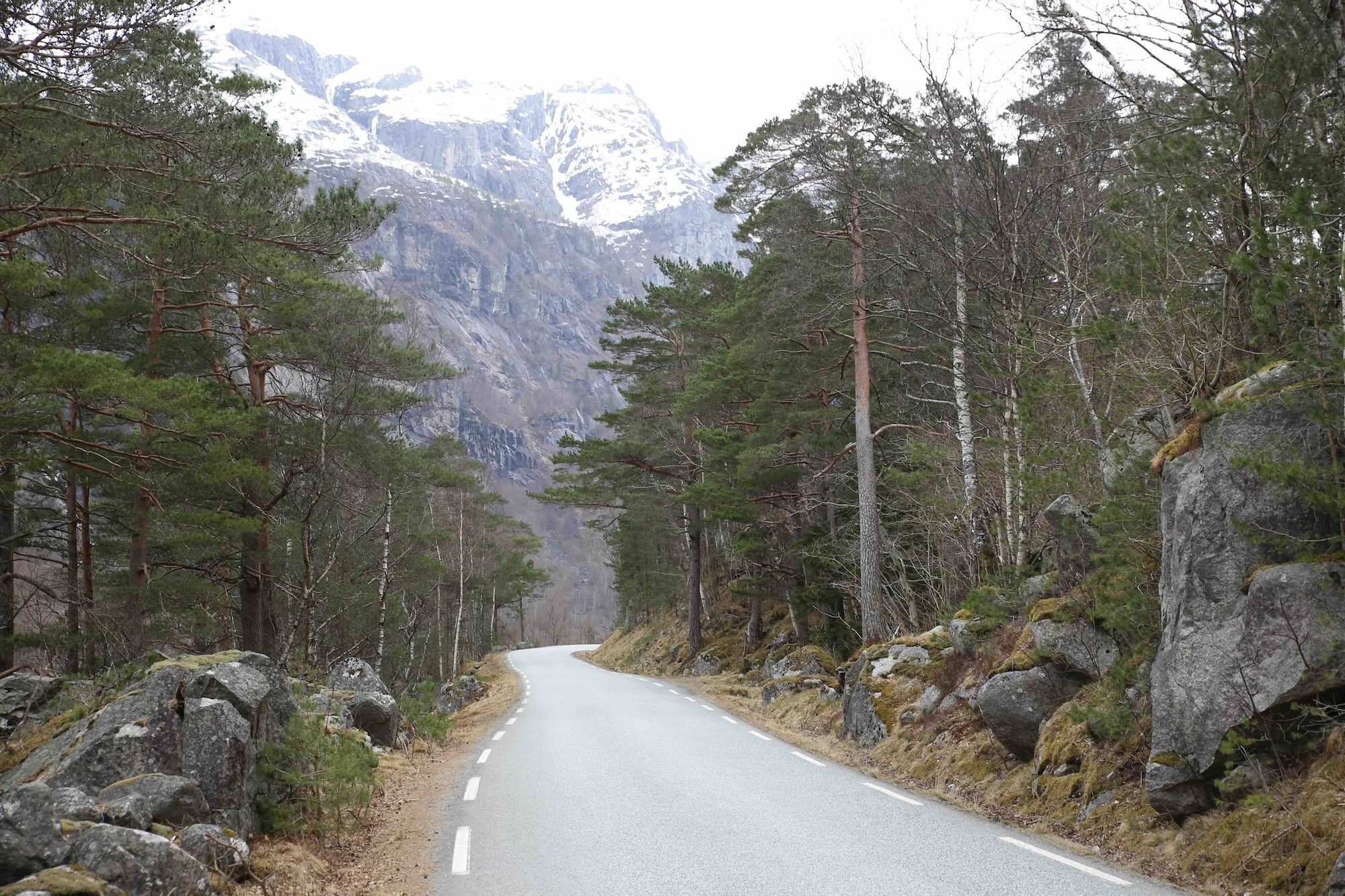 Forest road Norway