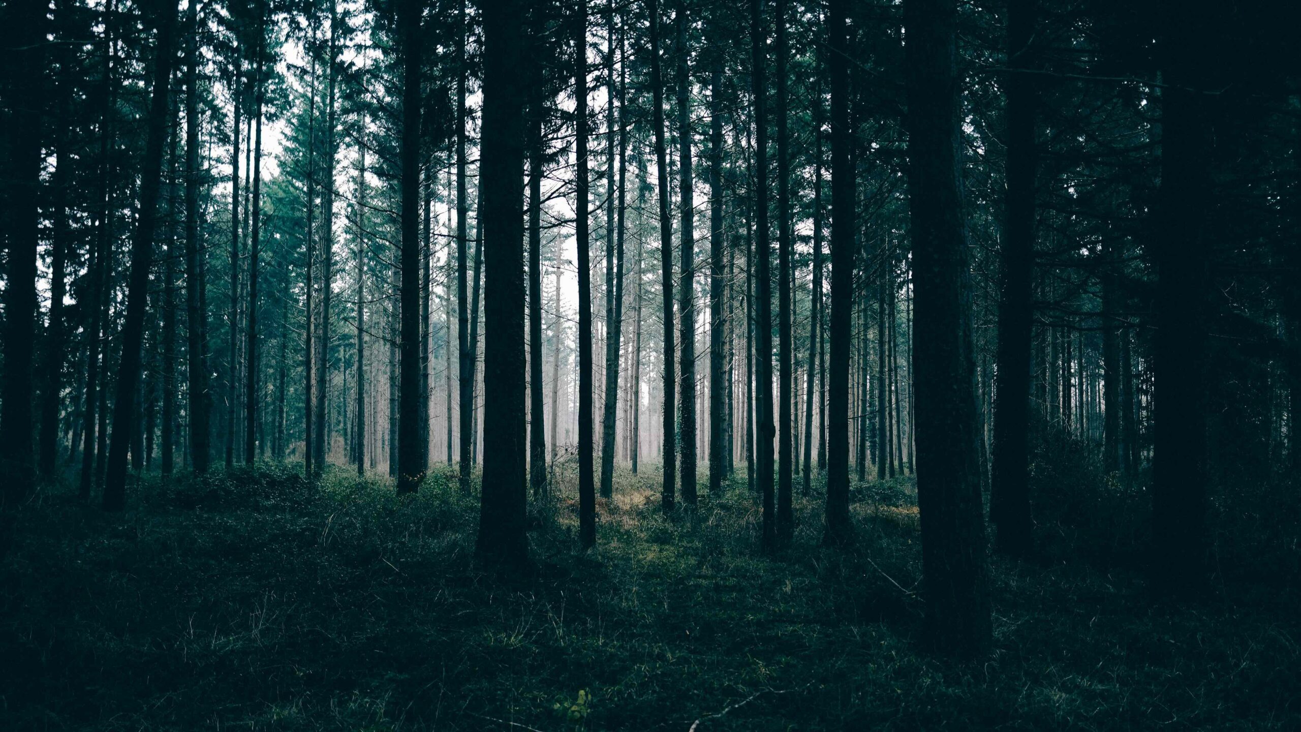 An image owned by Production Service Scandinavia